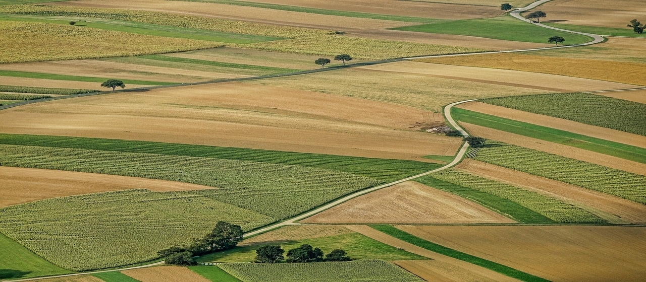 Land auctions in Ukraine will pass through ProZorro Sales