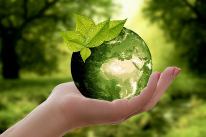 Прийнята Стратегія державної екологічної політики до 2030 року