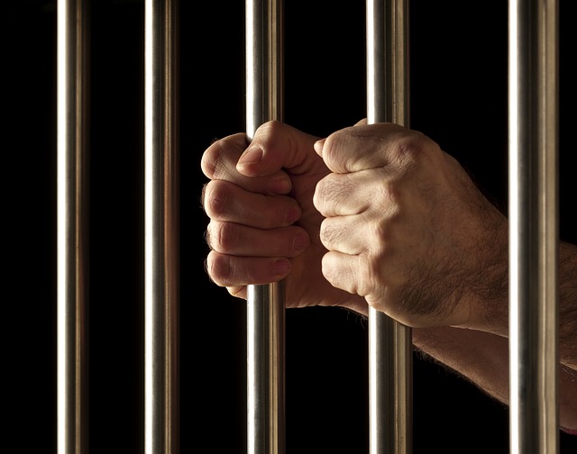 Starting Next Year, the Institute of Criminal Offenses Will Work