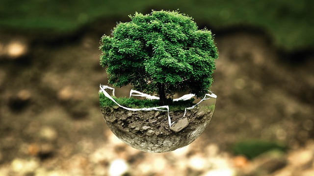 Environmental Strategy 2030: Plastic Use Restriction, Animal Circus Ban, Forest Management Balance